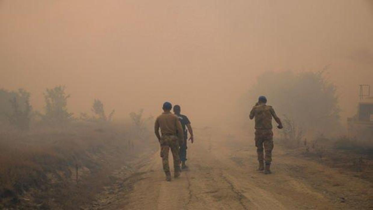 Son Dakika... Ankara-Bolu sınırında orman yangını: Bir kişi gözaltında