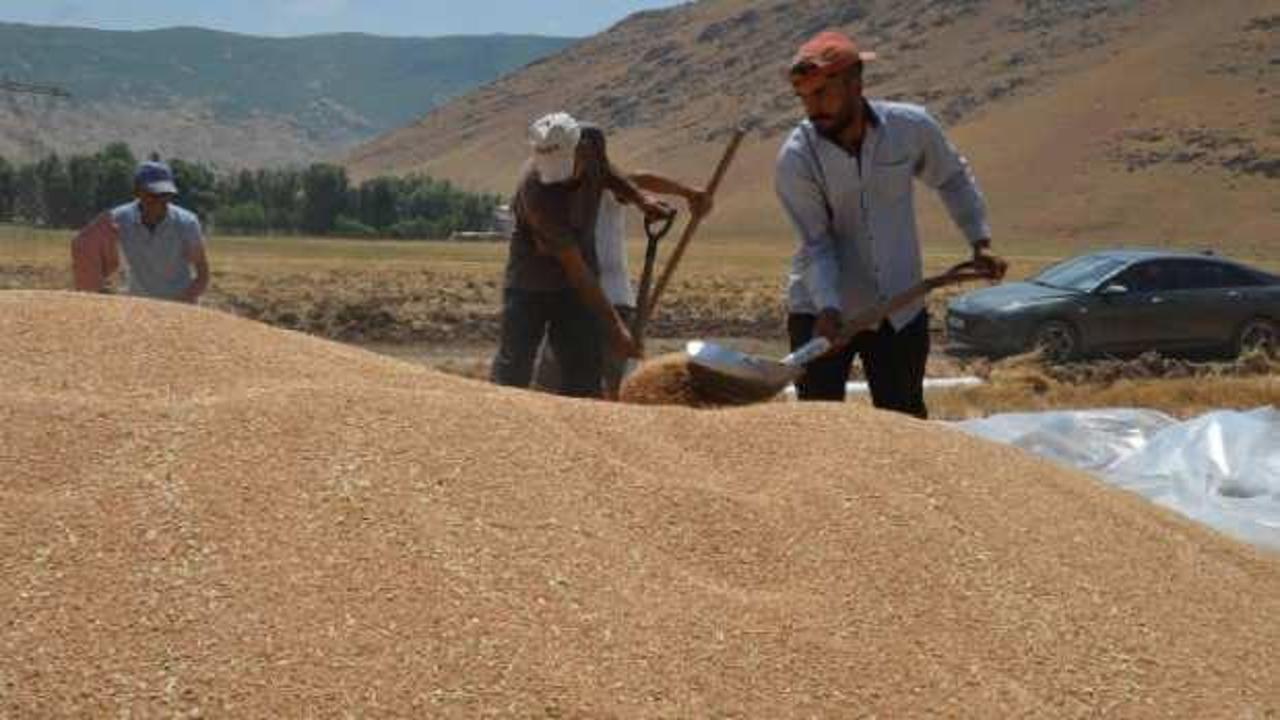 Tarımsal destekleme &ouml;demeleri bug&uuml;n hesaplara aktarılacak