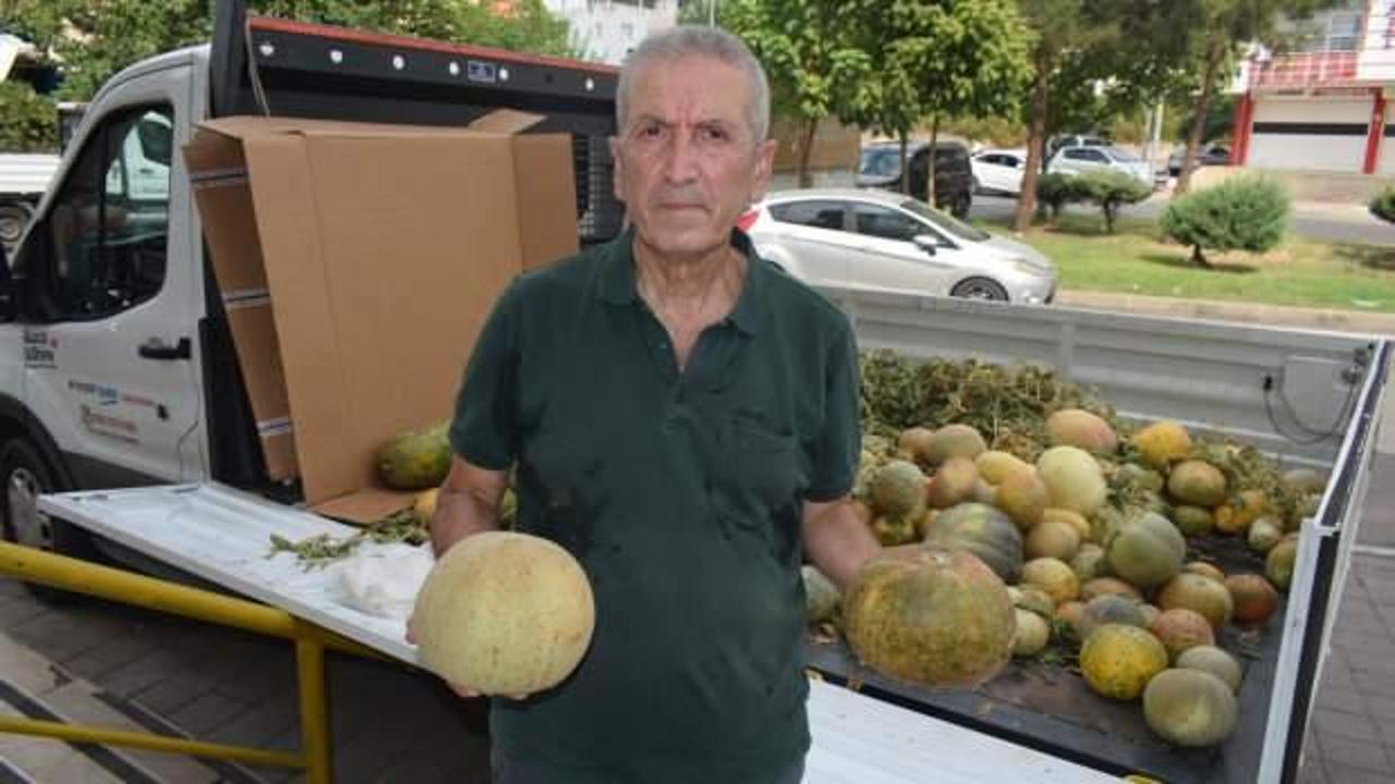 T&uuml;ccara tepki, l&ouml;semili &ccedil;ocuklara destek: Kavunlar umut oldu