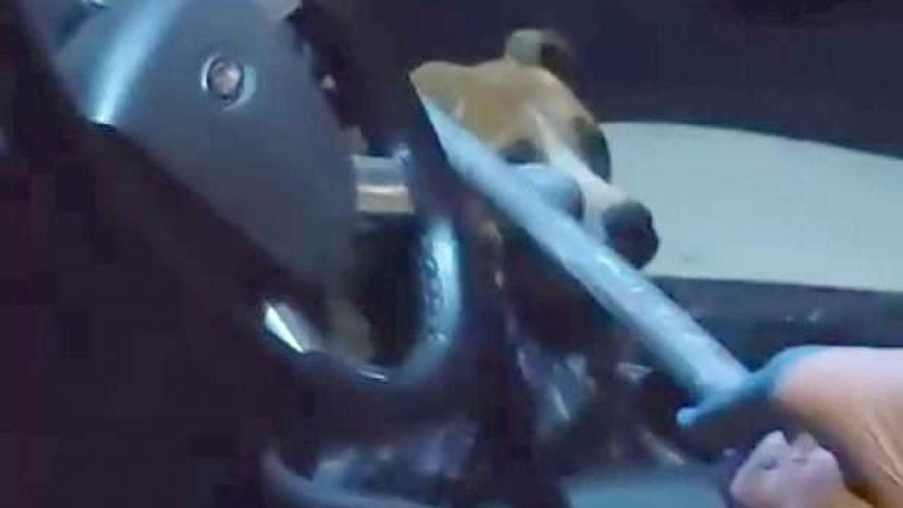 Adıyaman'da pitbull cinsi k&ouml;peğin kapalı ara&ccedil;ta yarattığı panik anları