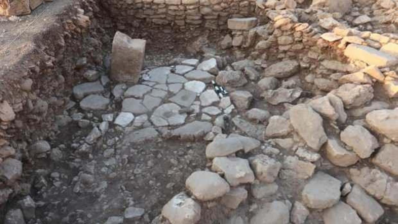 Bakan Ersoy, yeni keşfi açıkladı: Nadir örneklerden