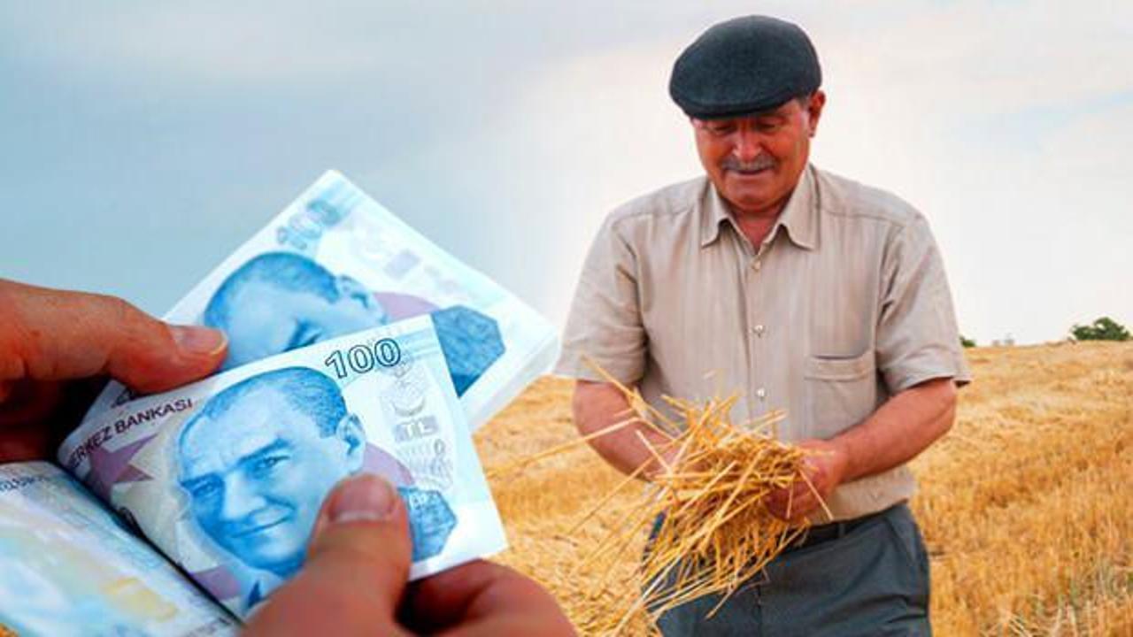Bakanlık duyurdu! &Ccedil;ift&ccedil;ilere m&uuml;jde, hesaplara yatırıldı