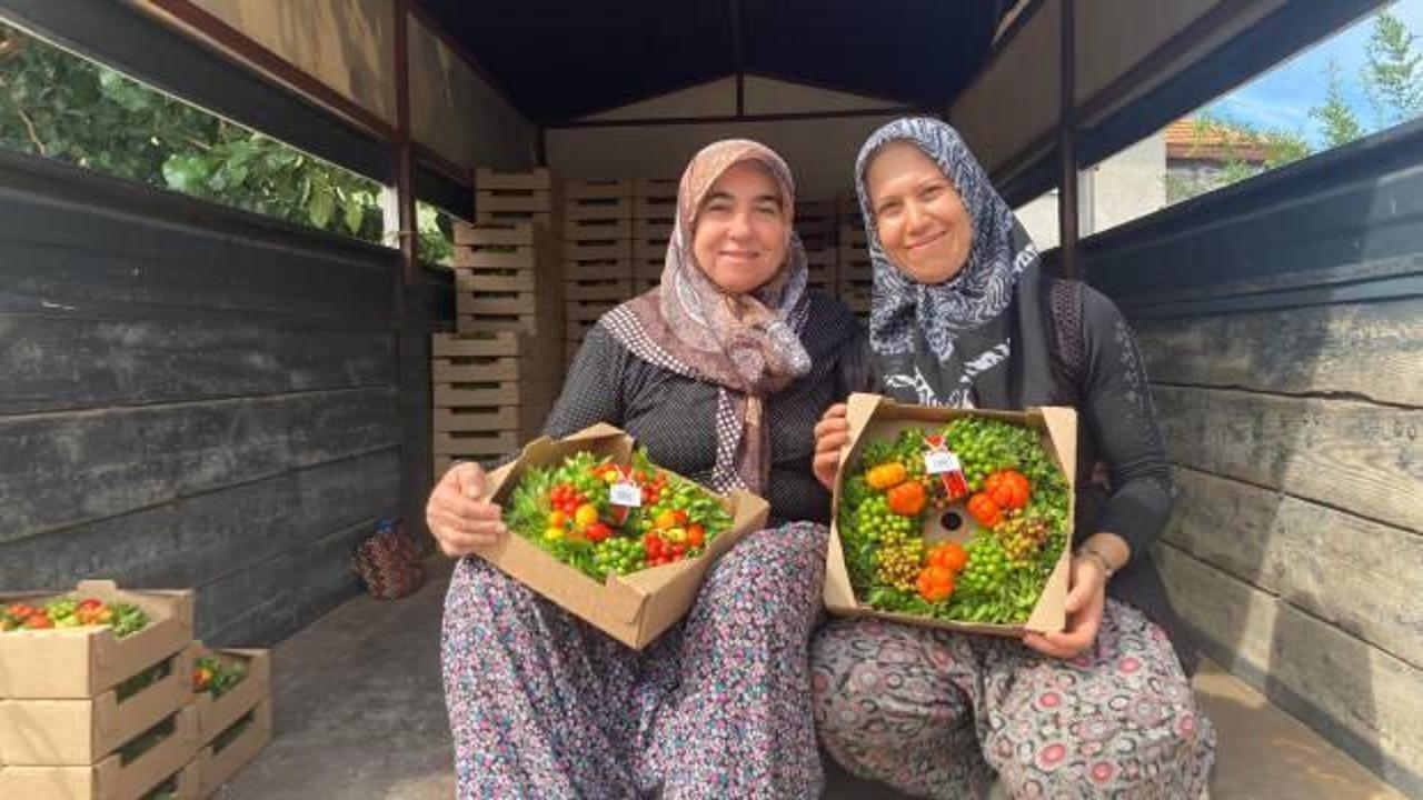 Burdur'un bu k&ouml;y&uuml;nde &uuml;retilen &uuml;r&uuml;nler Avrupa'ya ihra&ccedil; ediliyor