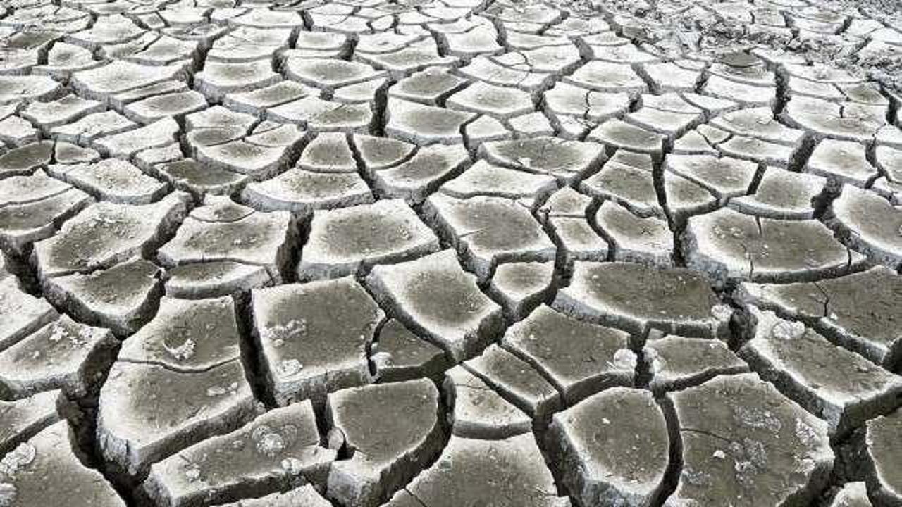 Erciyes Dağı'ndaki Tekir'den k&ouml;t&uuml; haber