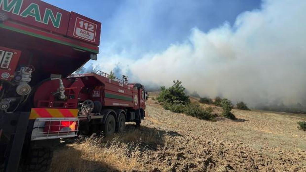 Kahramanmaraş’ta orman yangını