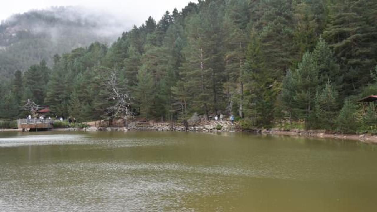 Limni G&ouml;l&uuml; Tabiat Parkı'nı yaklaşık 100 bin kişi ziyaret etti