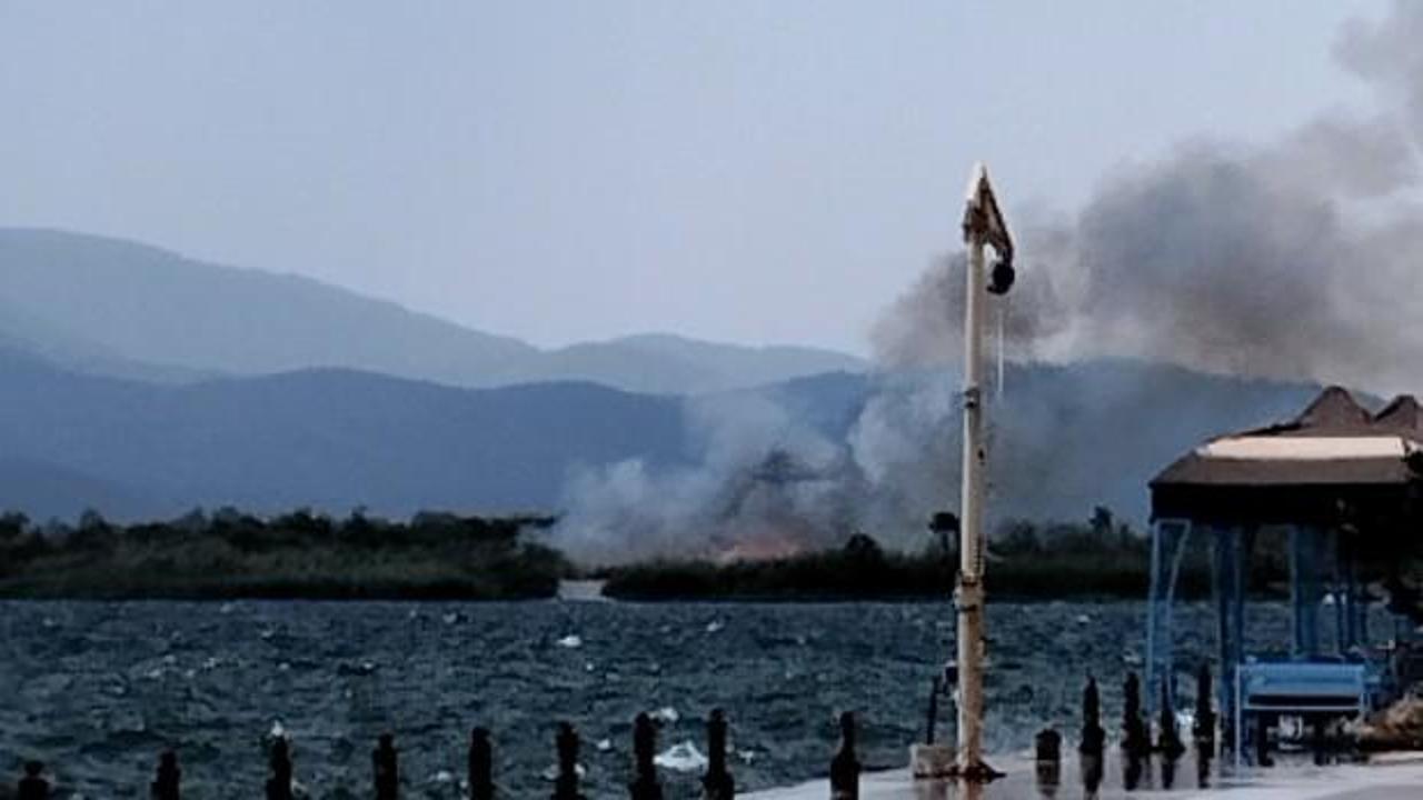 Muğla’daki sazlık yangını söndürüldü