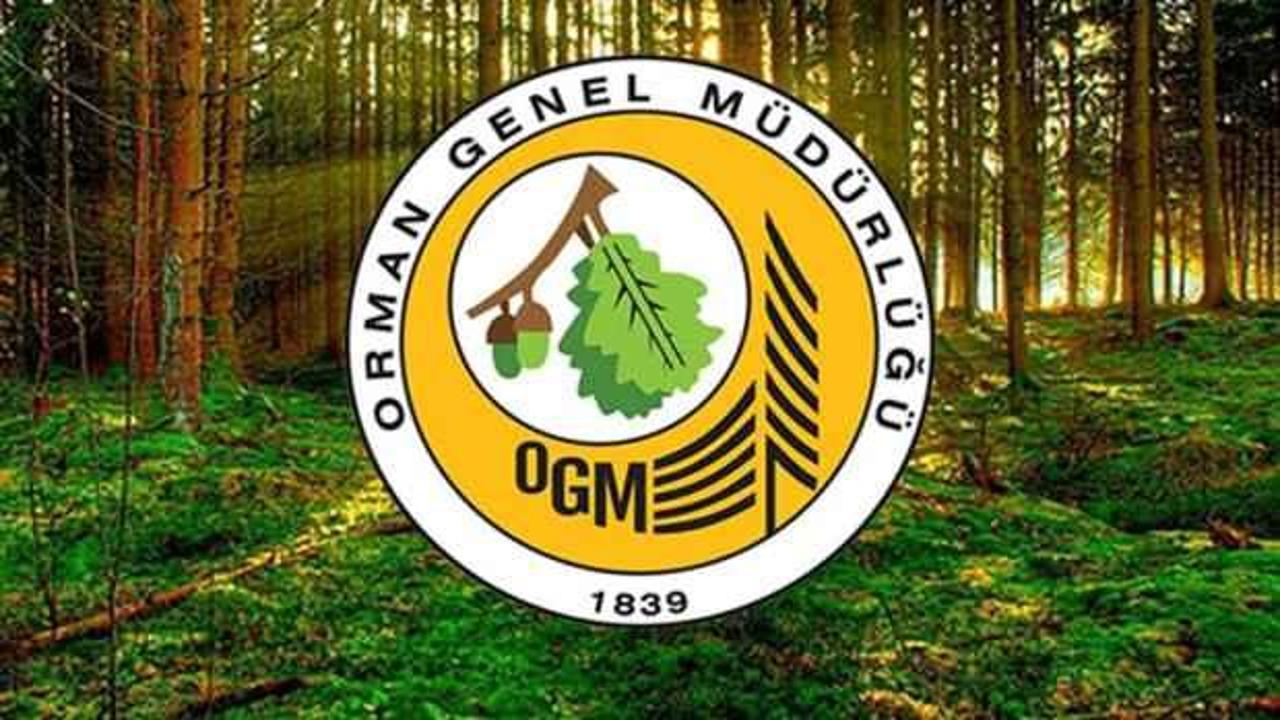 OGM'den otel iddialarına yanıt
