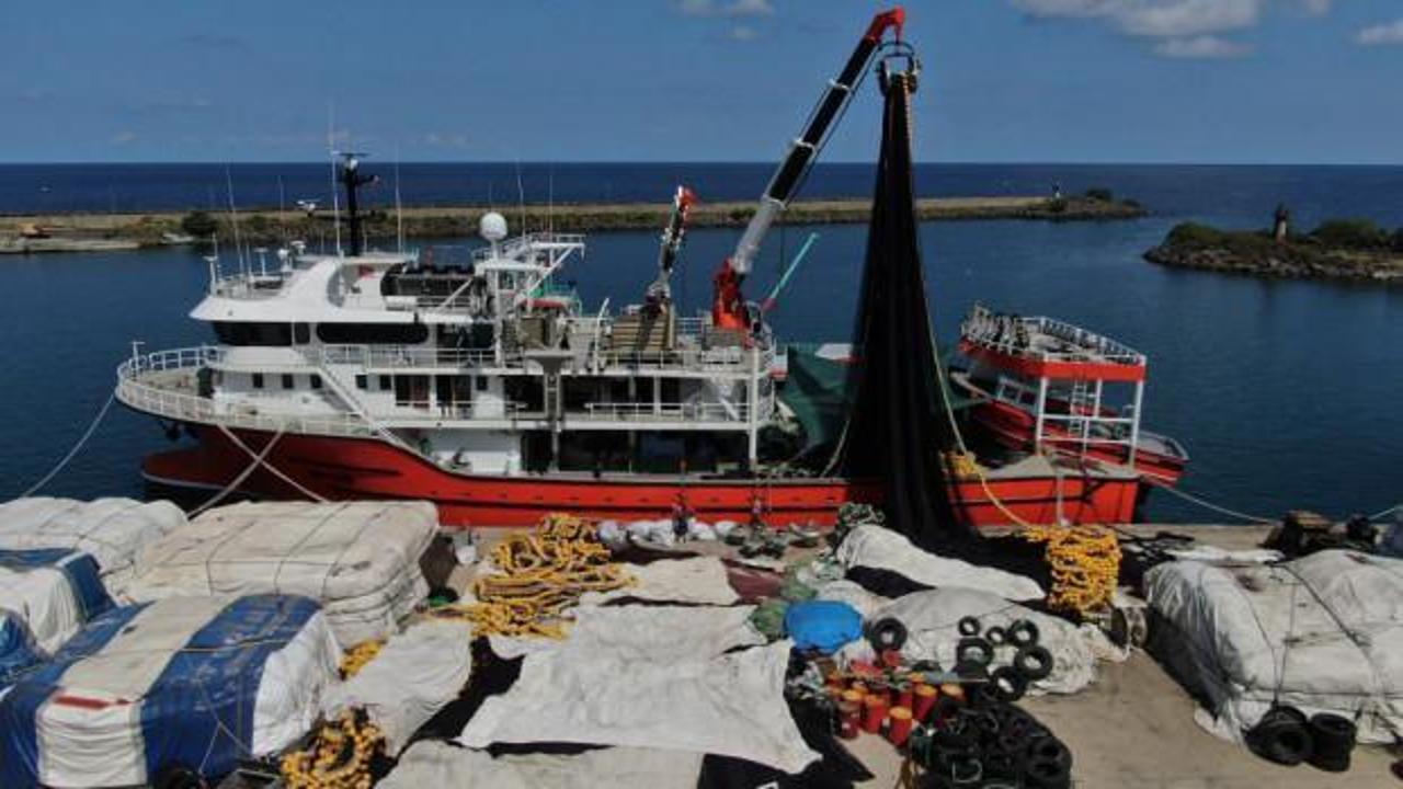 Palamut nereye onlar oraya!