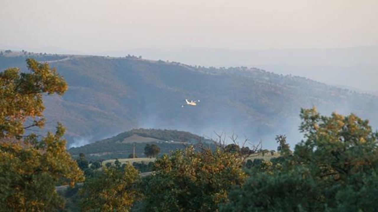 Uşak'taki orman yangınları kontrol altına alındı