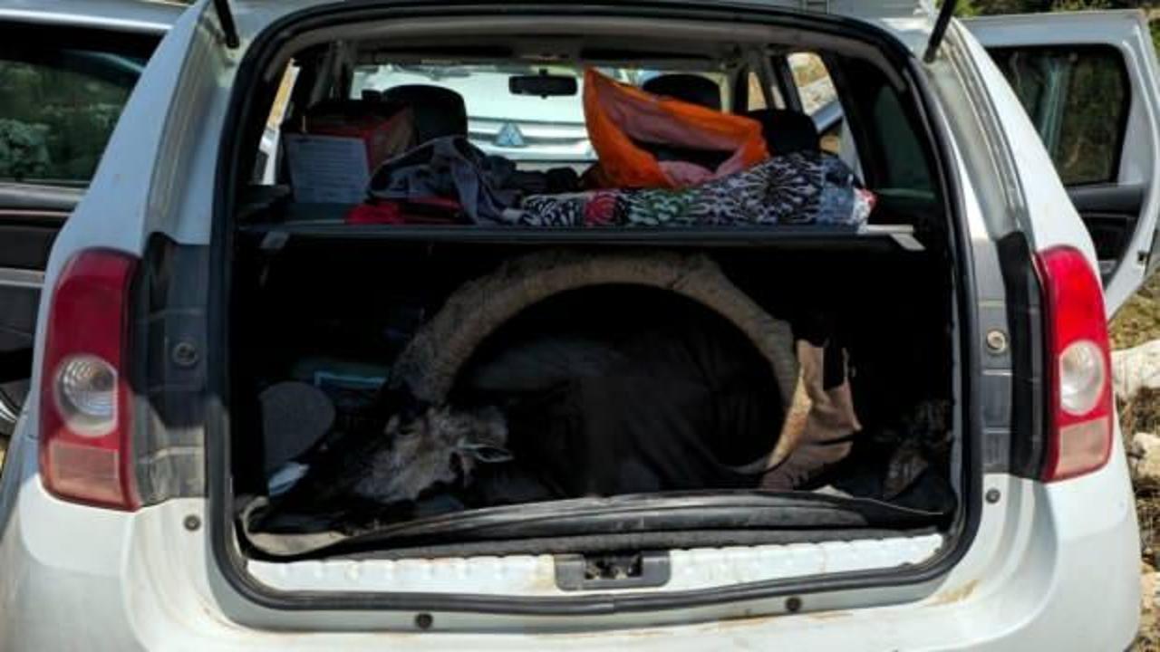 Yaban ke&ccedil;isi avlamak pahalıya patladı: 1 milyon 315 bin TL para cezası kesildi!