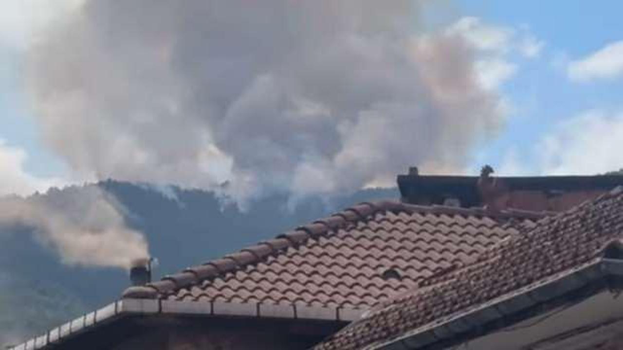 Zonguldak'ta orman yangını! Ekipler müdahale ediyor