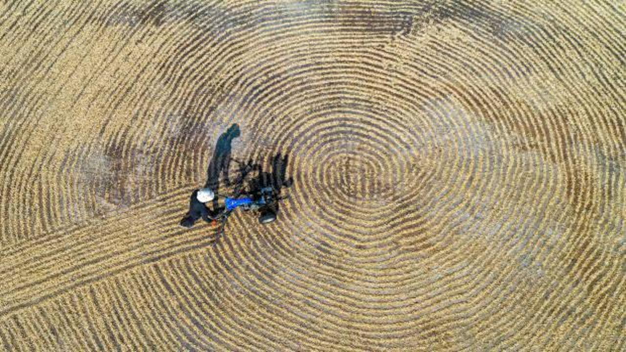 Antep fıstığında "kavlatma" telaşı s&uuml;r&uuml;yor