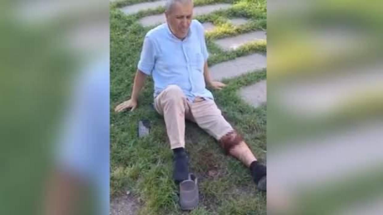 Başıboş sokak köpeği yaşlı adama saldırdı