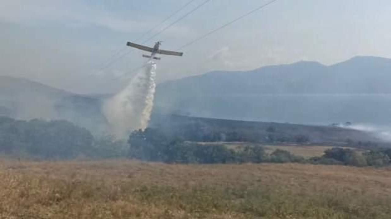 Erdek'te 100 d&ouml;n&uuml;m alan yangında zarar g&ouml;rd&uuml;