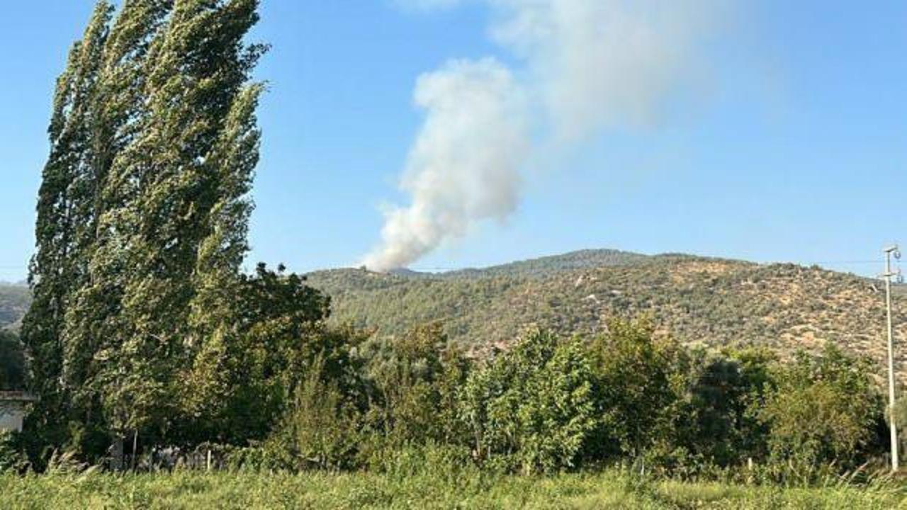 Muğla ve Bursa'da korkutan orman yangını