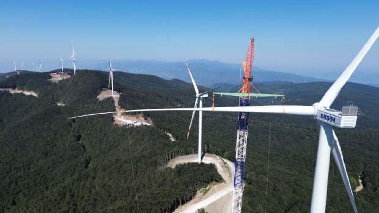 Eksim Enerji Temiz Enerji Yatırımlarında Yaban Hayatını Koruyor