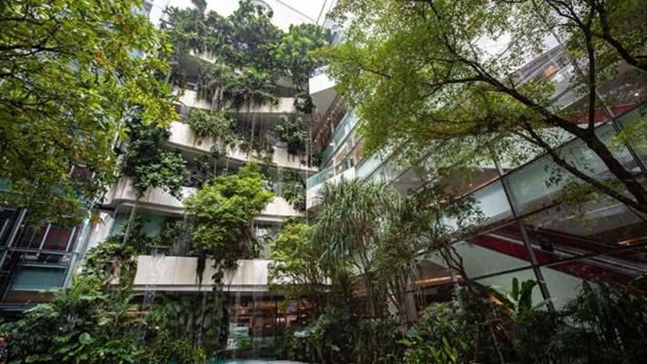 İklim krizi, doğru şehir planlamasının &ouml;nemini artırıyor