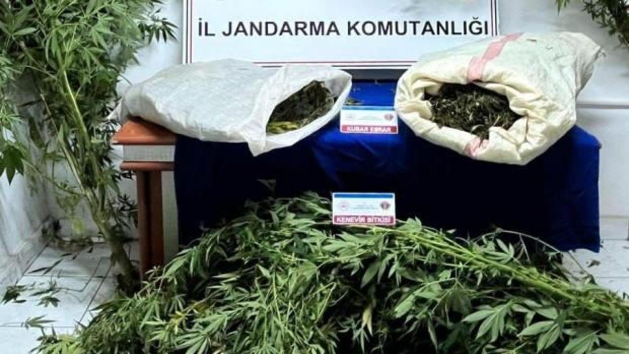 Samsun'da jandarma 8 kilo kubar esrar ele geçirdi