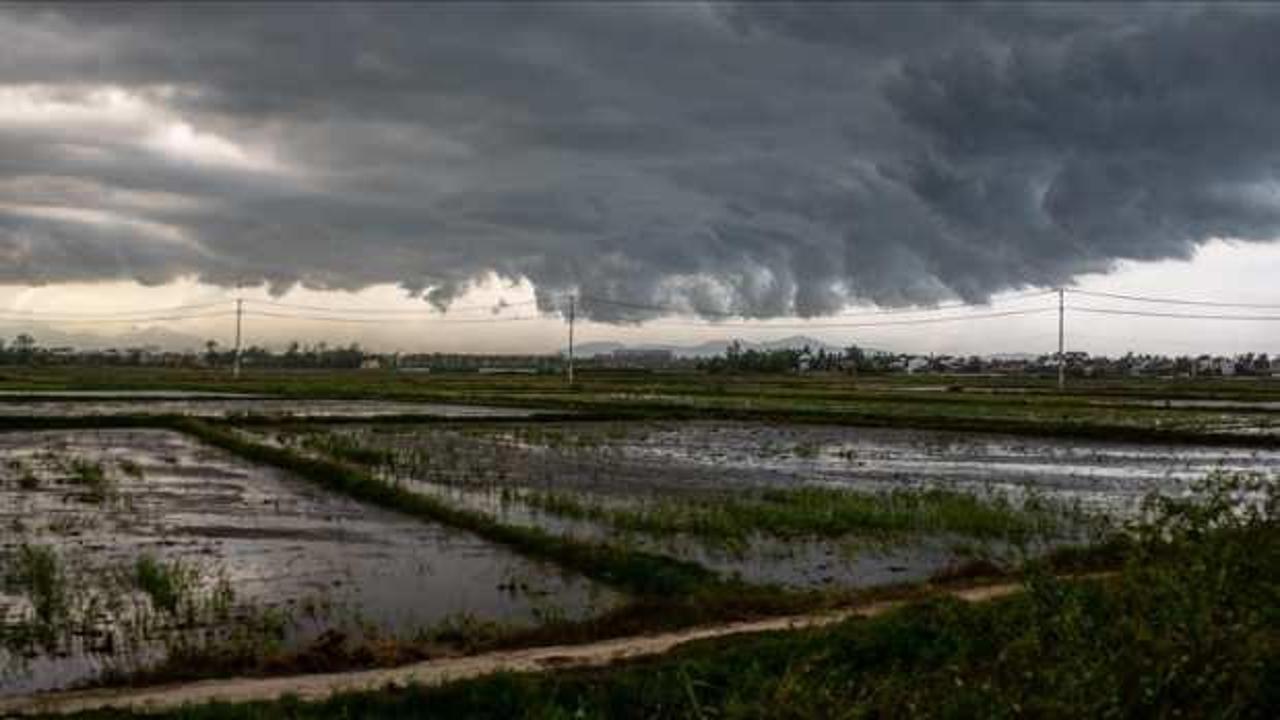 Tayfun Vietnam'ı vurdu! Can kaybı 143'e çıktı