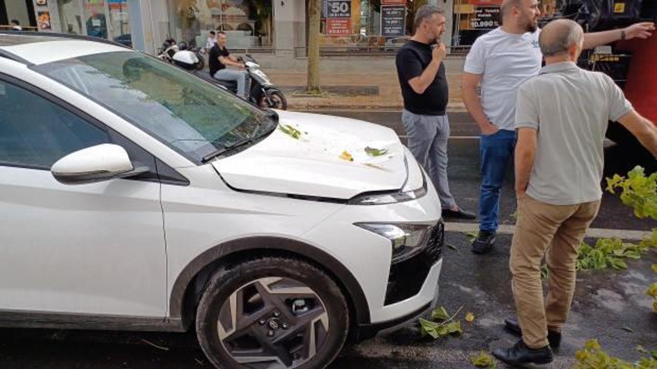 Yeni aldığı otomobilin &uuml;zerine ağa&ccedil; devrildi: Daha borcunu bile &ouml;dememiştim