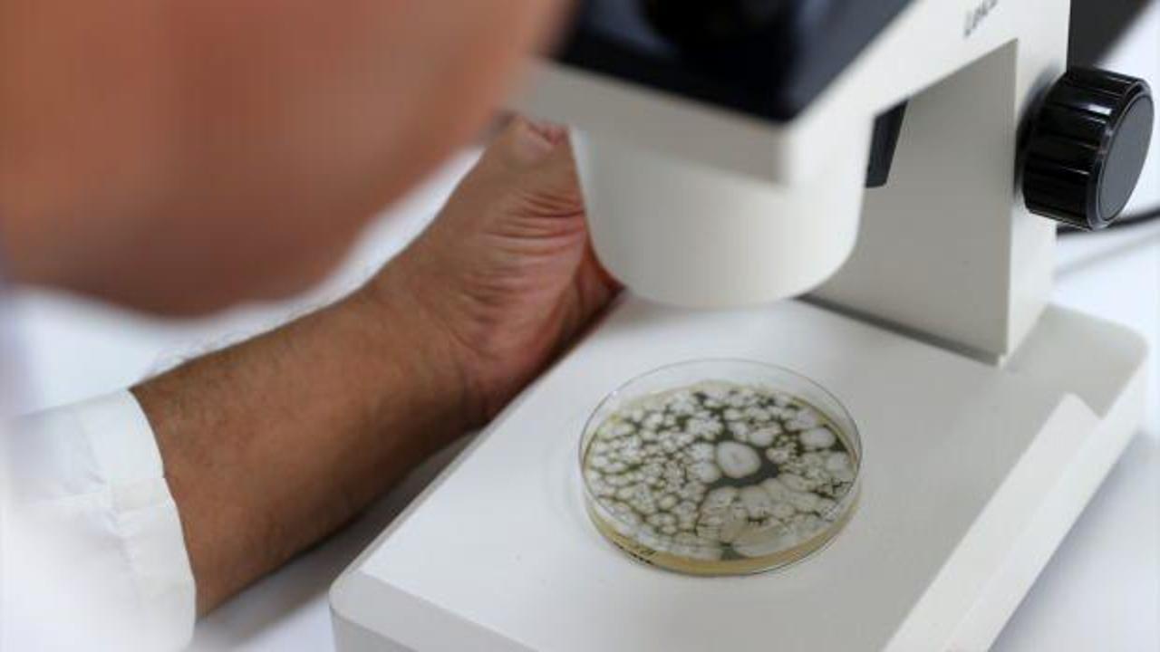 30 yıldır biriktiriliyor! B&ouml;yle koleksiyon g&ouml;r&uuml;lmedi 