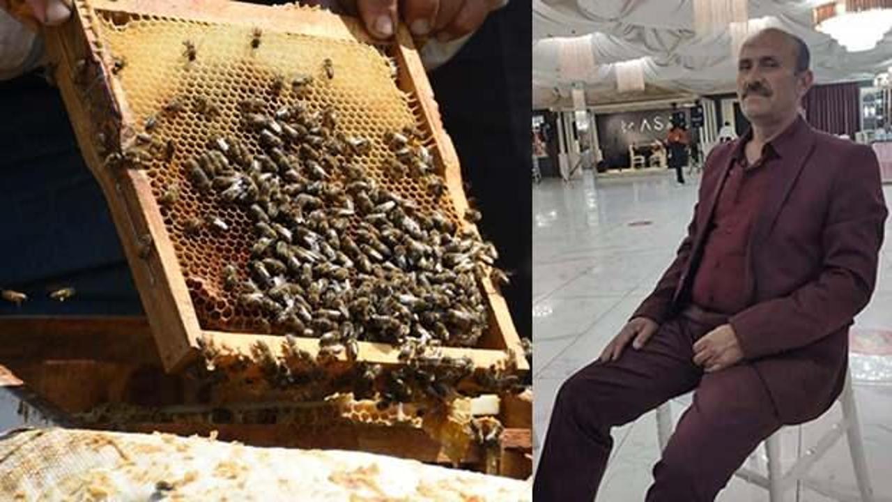 54 yaşındaki adamın acı sonu: Bal yerken hayatını kaybetti!