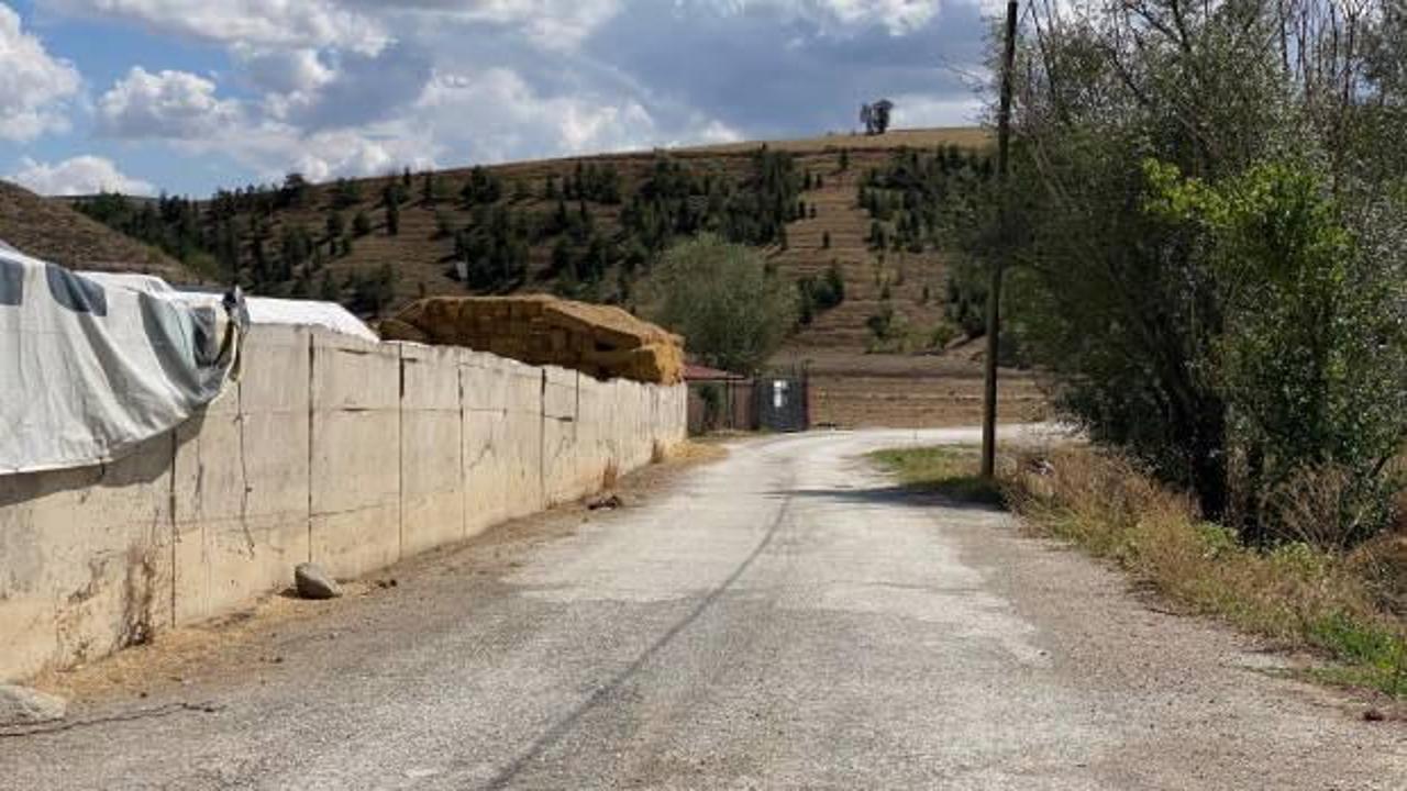 Arkadaşının kazayla vurduğu Afgan çoban öldü