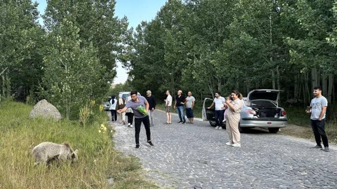 Ayıya cips ikram ettiler yetmedi bir de &ouml;z&ccedil;ekim yaptılar