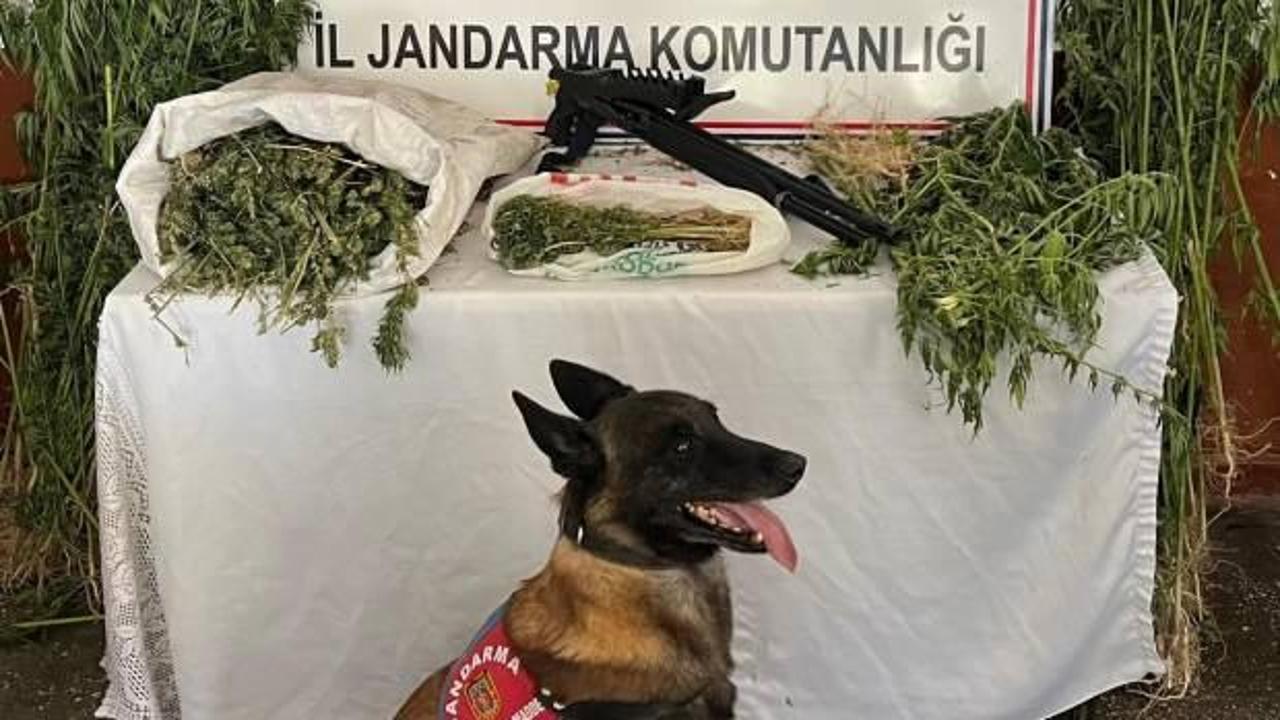 Bitlis'te uyuşturucu operasyonunda 3 gözaltı