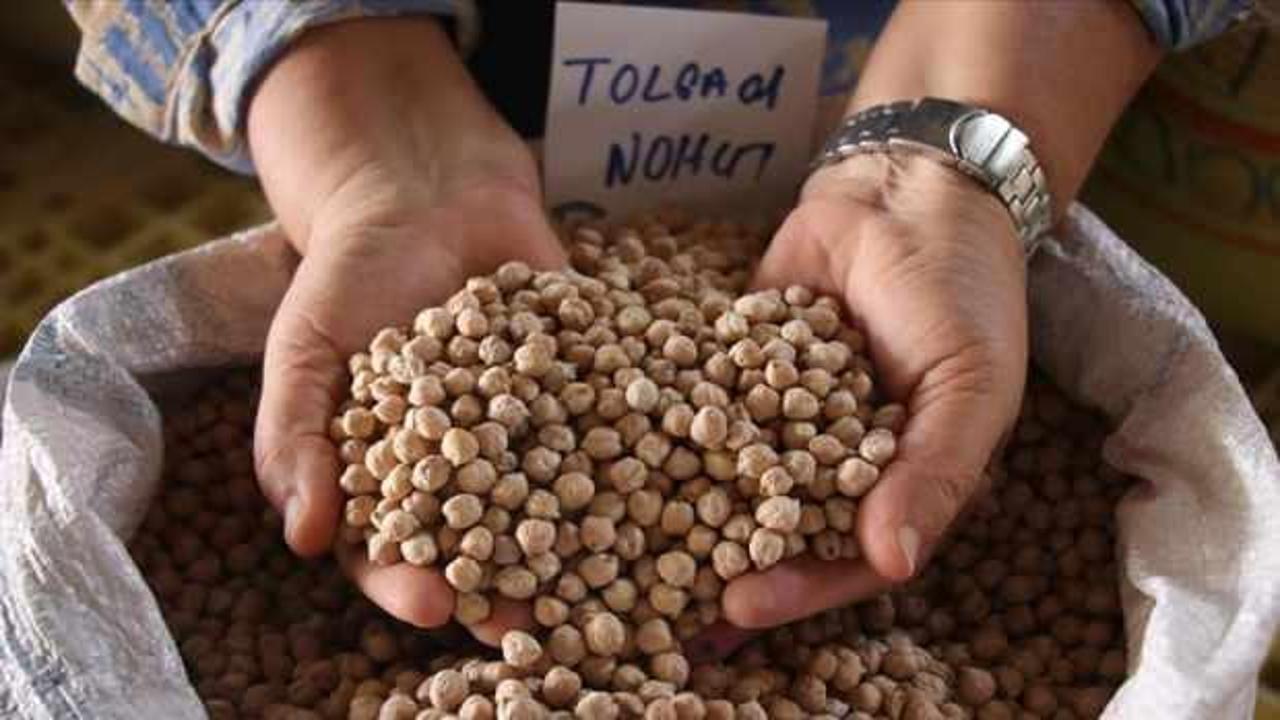 Çukurova'dan tarımsal üretime yeni nohut ve arpa tohumları kazandırıldı