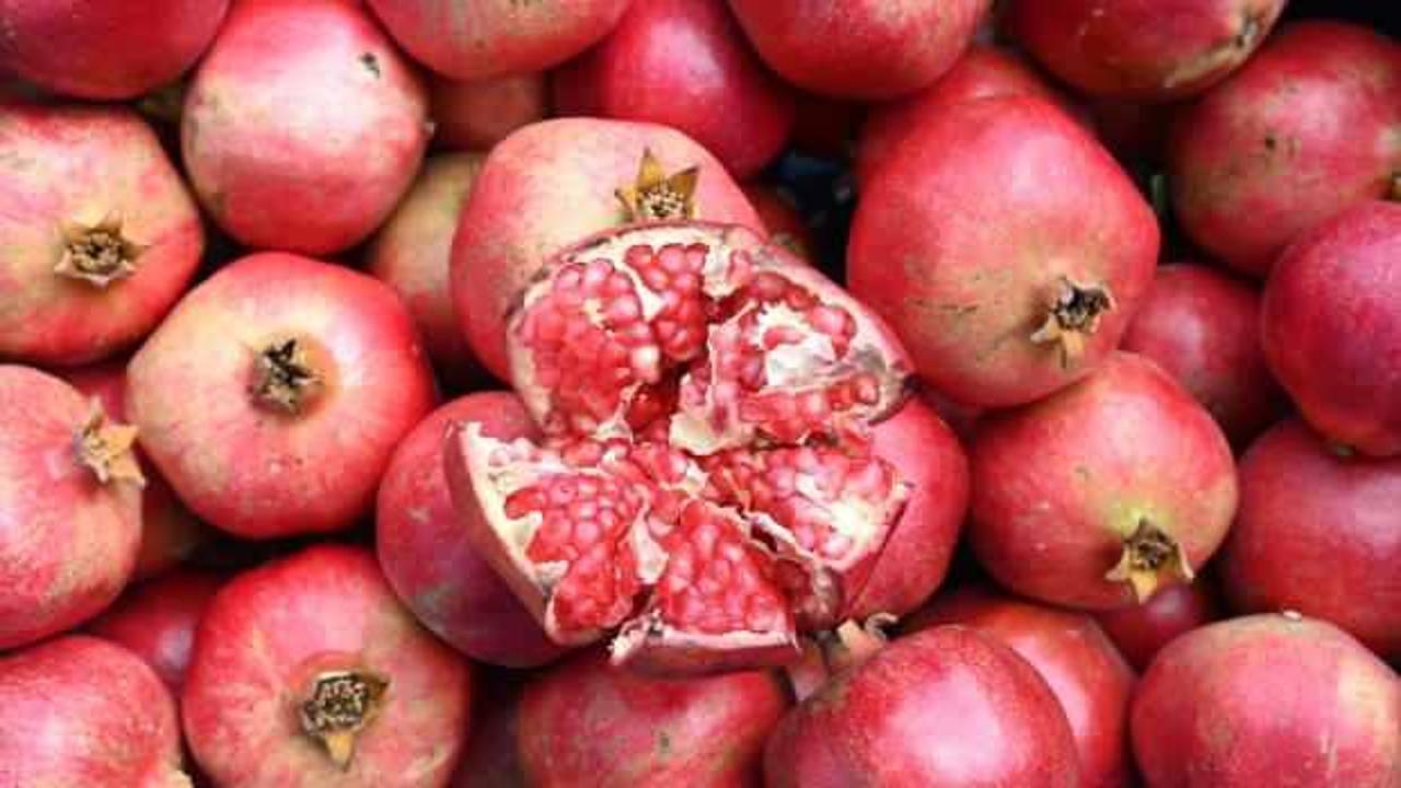 Denizli'de nar &uuml;reticisinin mesaisi başladı 