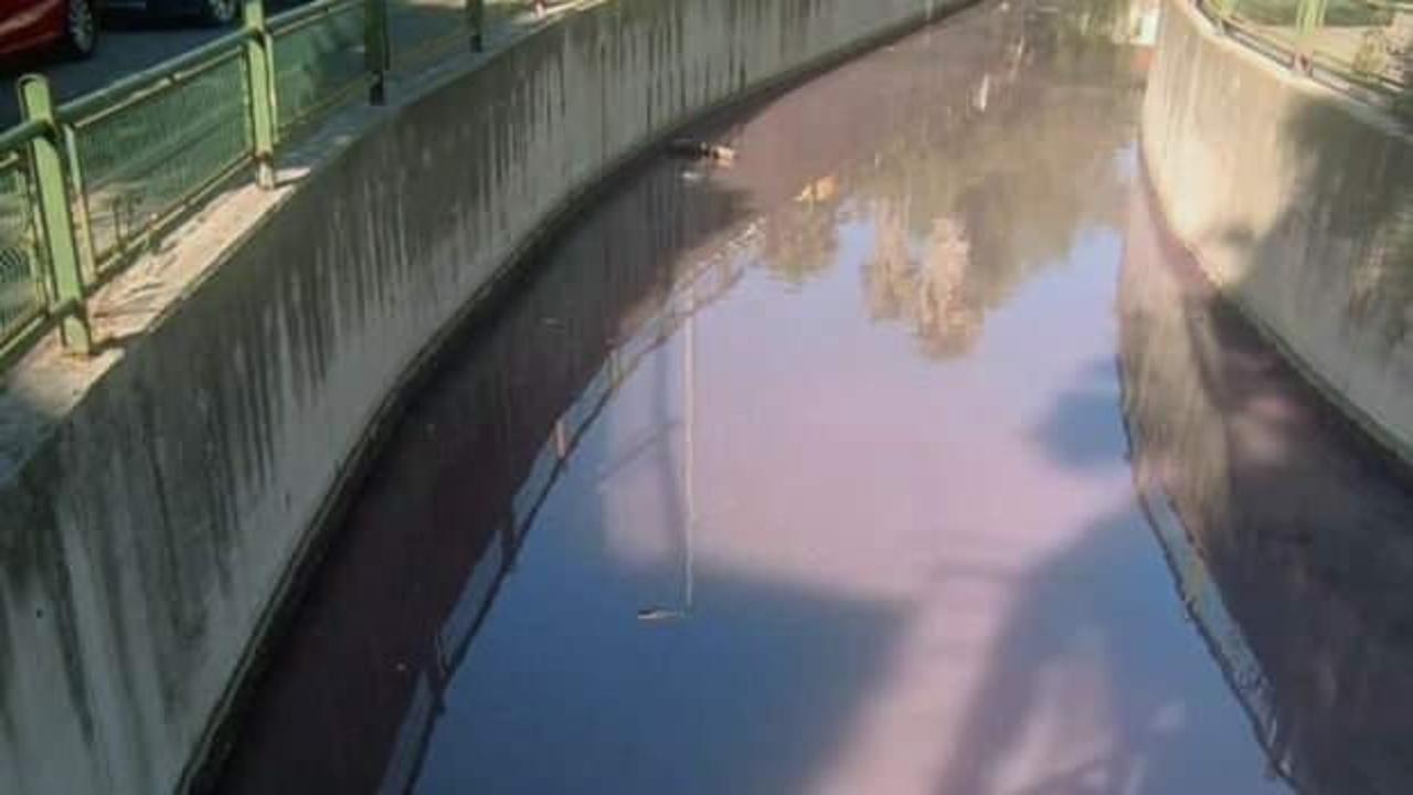 Muğla'da korkutan g&ouml;r&uuml;nt&uuml;! Dere suyunun rengi mora d&ouml;nd&uuml;