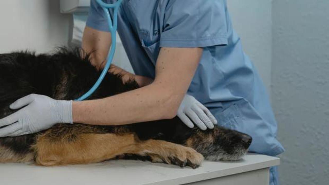 Kanun teklifine karşı &ccedil;ıkan başkandan '&ouml;tenazi' eğitimi!