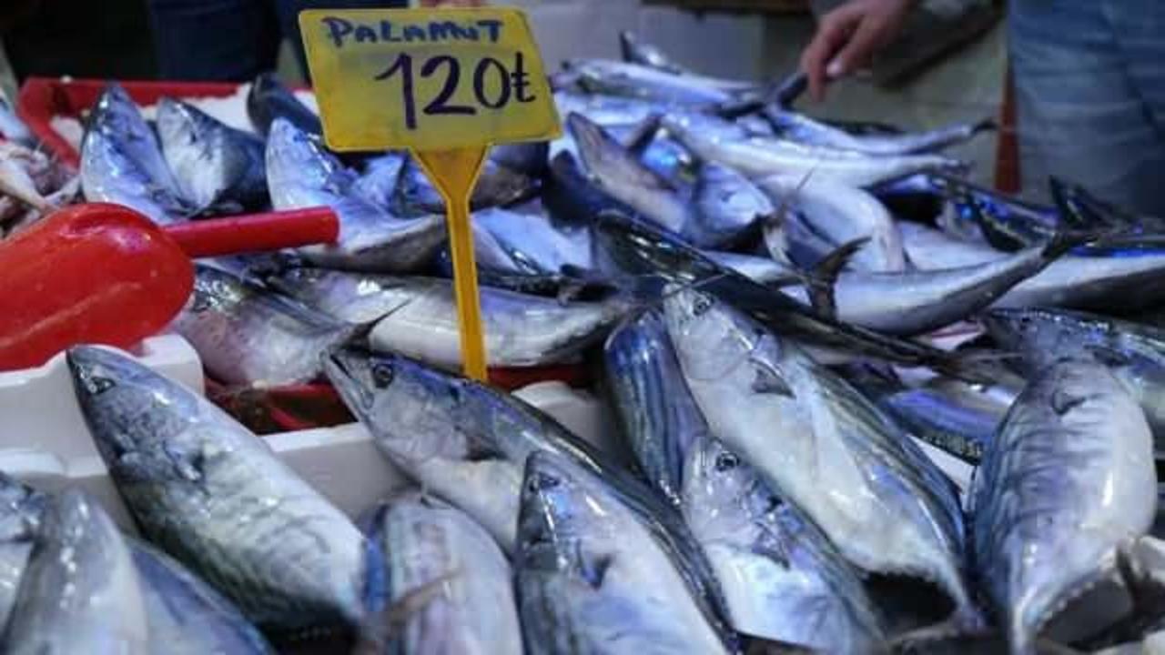 Palamut g&ouml;&ccedil; etti, fiyatı 120 TL'ye y&uuml;kseldi