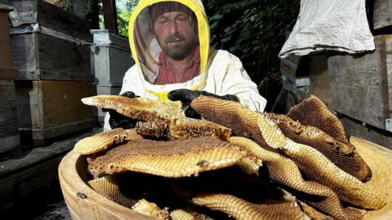 Satışa &ccedil;ıkar &ccedil;ıkmaz kapış kapış gidiyor: Kilosu 3 bin lira!