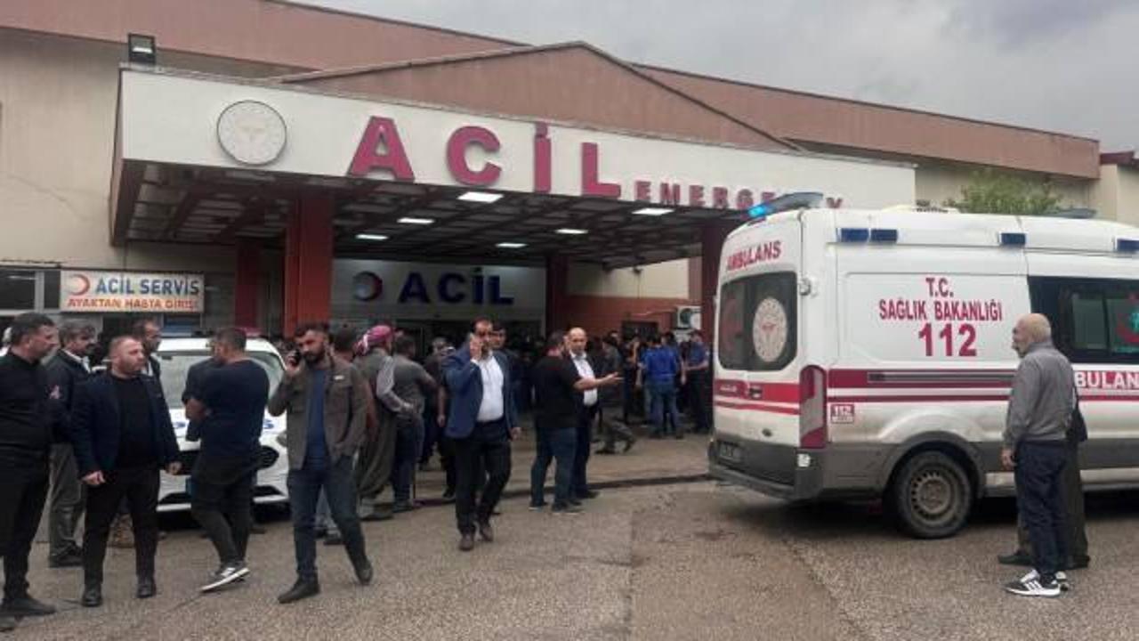 Sığındıkları ağacın yanına yıldırım düştü: 2 kişi öldü, 6 kişi yaralandı