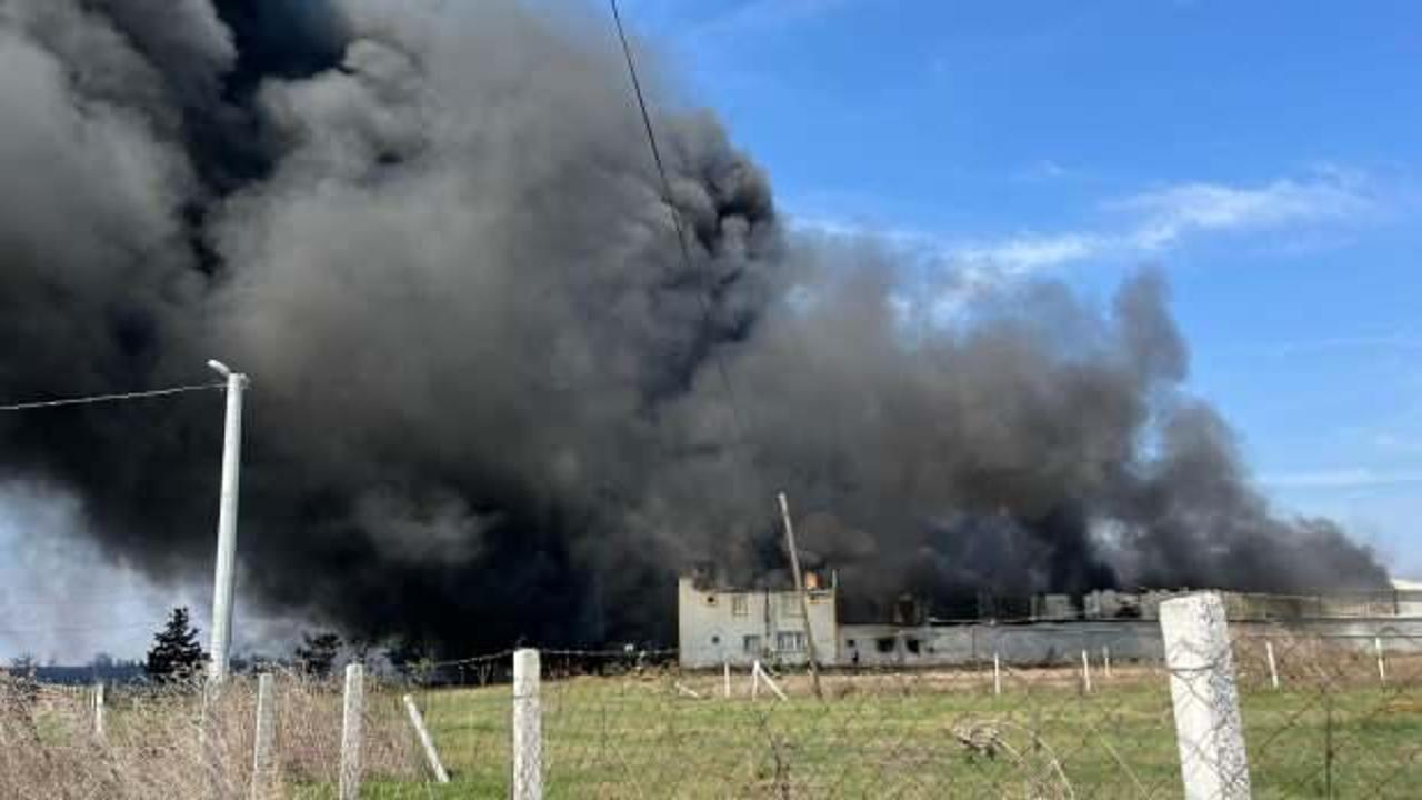 Son dakika: Tekirdağ'da fabrika yangını!