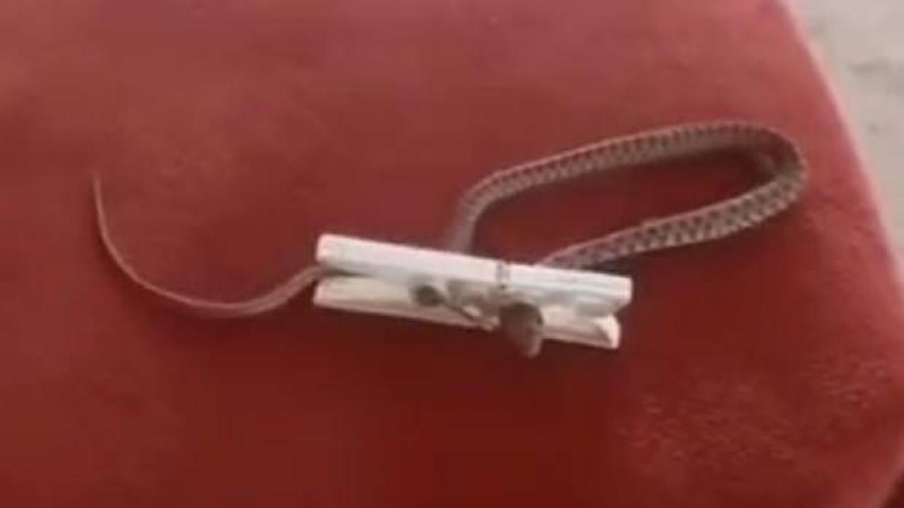 Bu da olmaz demeyin, oldu: Evine giren yılanı mandalla yakaladı