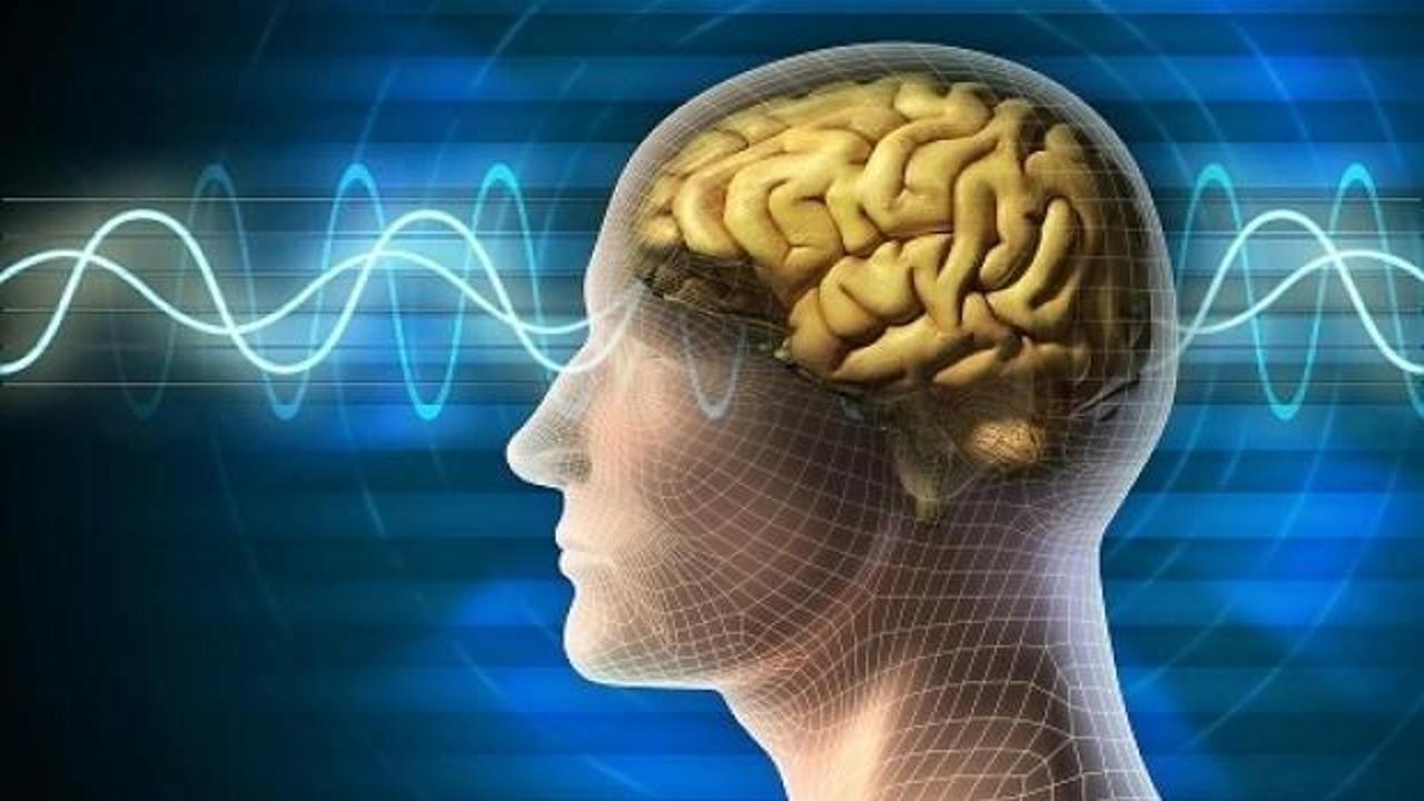 Nedeni belli oldu: Erkek beyninin her akşam 8'de küçüldüğü keşfedildi