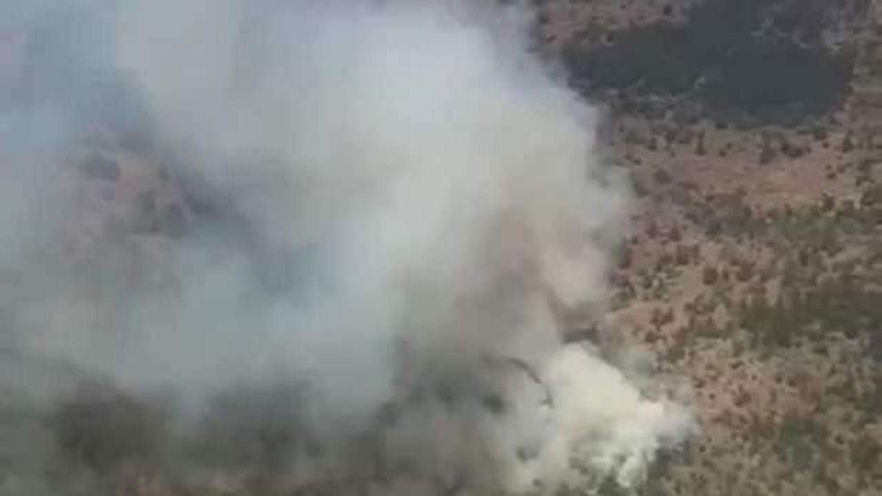 İzmir'de orman yangını!