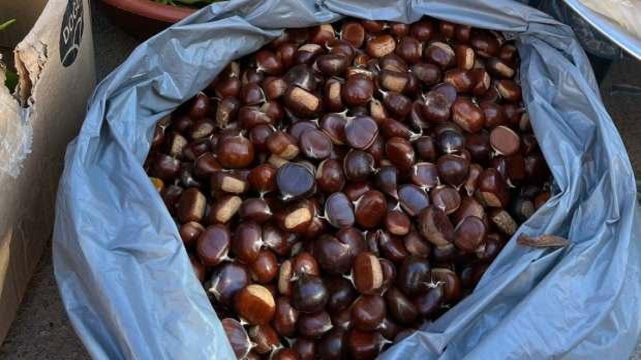 Kestane ziyafeti &ccedil;ekmek isteyenler aman dikkat! Altınla yarışıyor...