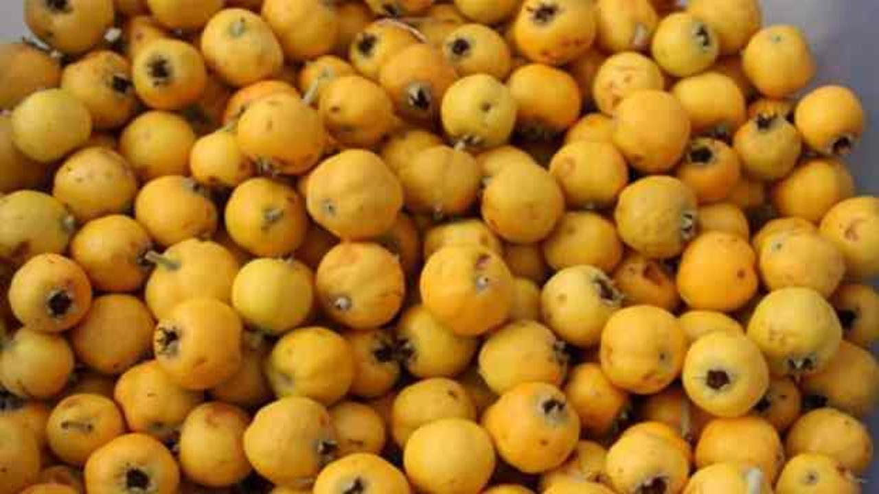 Kışın habercisi alı&ccedil; tezgaha d&uuml;şt&uuml;! Kilosu 200 TL