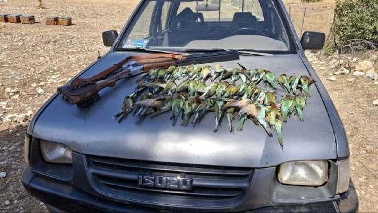 Koruma altındaki 45 arı kuşunu t&uuml;fekle &ouml;ld&uuml;rd&uuml;ler! Cezası ağır oldu...