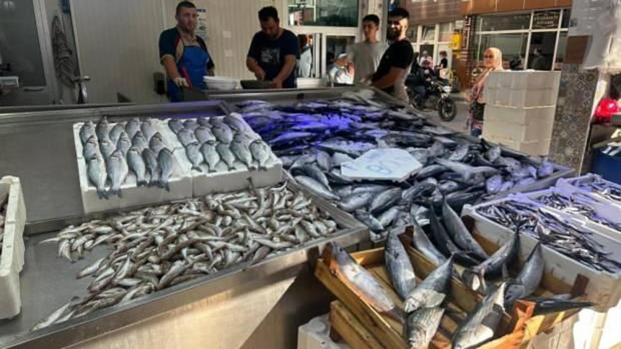 Palamut bolluğu: Tanesi 80 liraya d&uuml;şt&uuml;