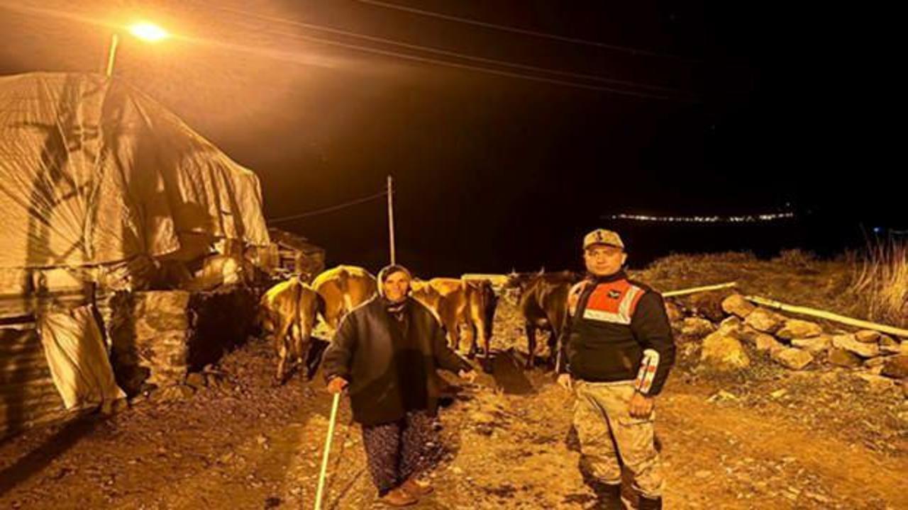 Hayvanlarını başıboş bırakan besiciler aman dikkat! 