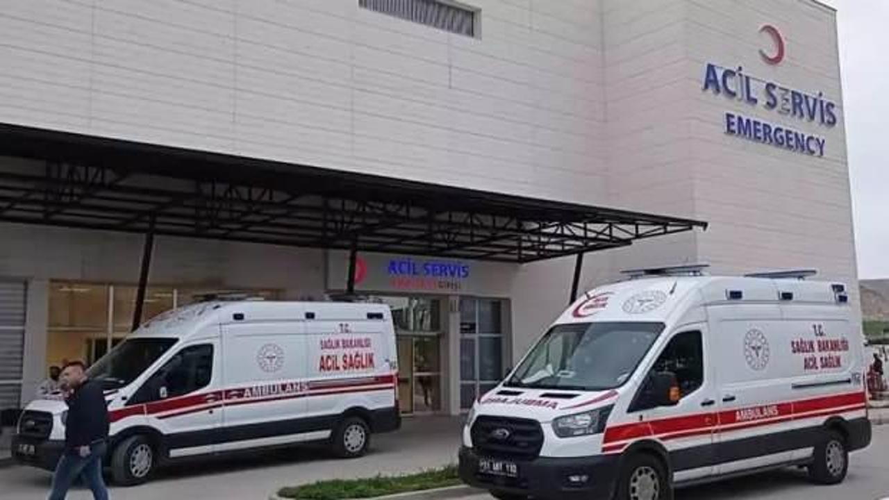 Armut toplarken yorgunun merminin isabet ettiği kadın, yaralandı