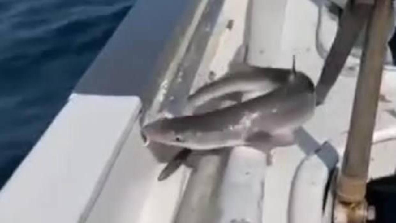 Eski Bakan D&ouml;nmez'in k&ouml;pek balığıyla imtihanı!