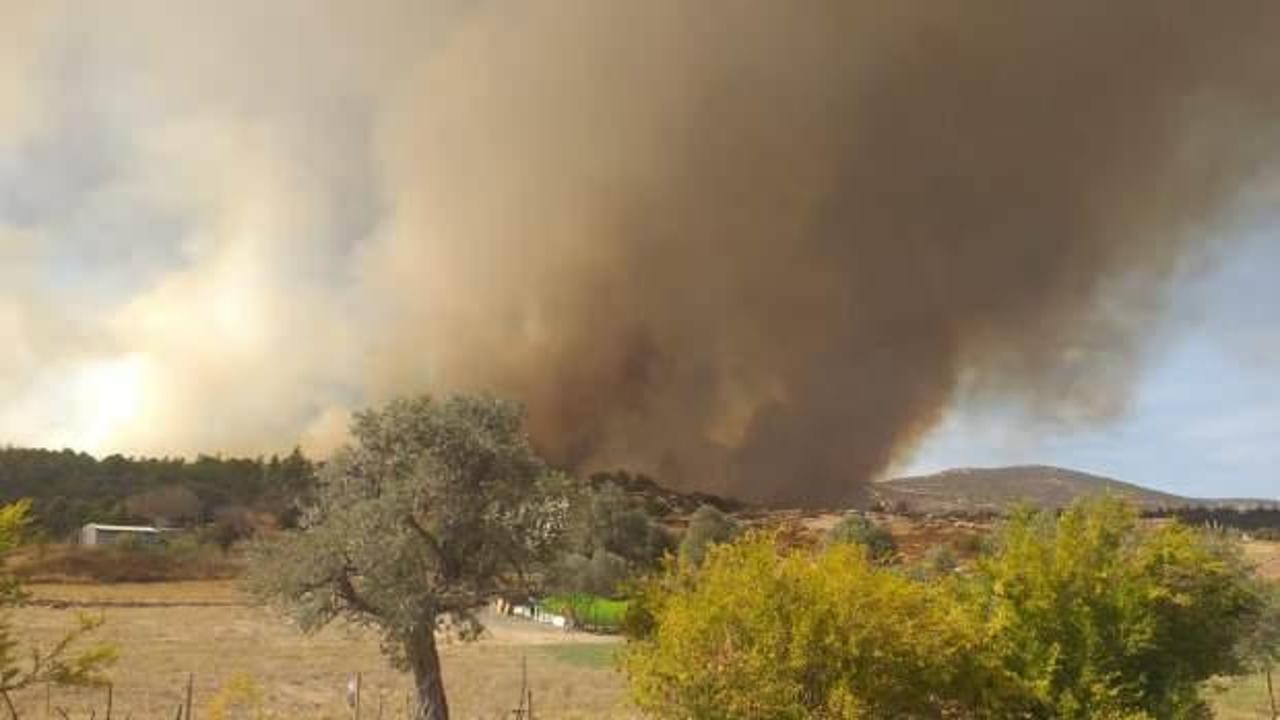 İzmir'de orman yangını! &Ccedil;&ouml;pl&uuml;k alanda başladı ormana sı&ccedil;radı