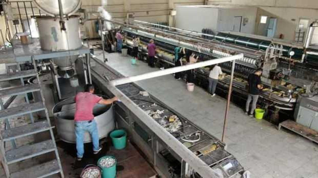 Tamamı ithal ediliyordu, artık Diyarbakır'da &uuml;retiliyor! 